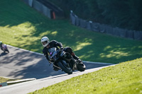Advanced 1 Group Black Bikes